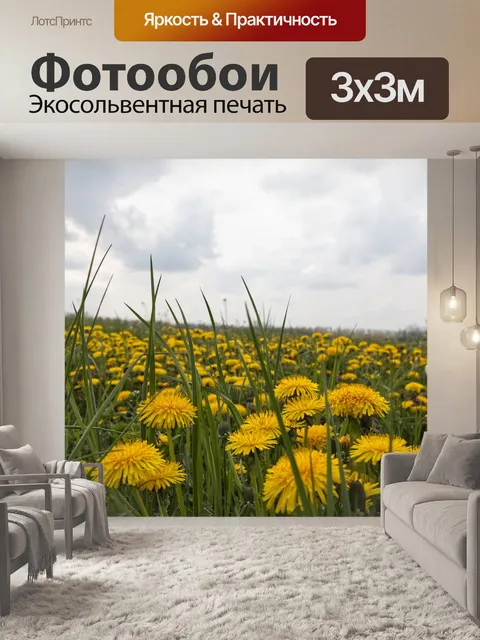 Фотообои Одуванчик