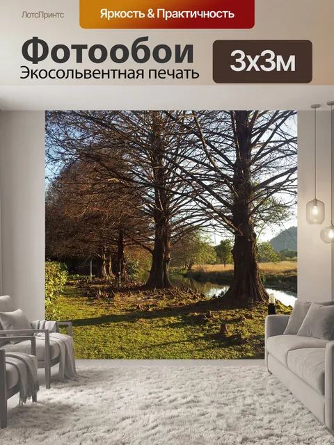 Фотообои Река