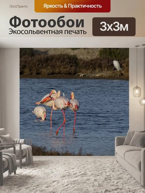 Фотообои Птицы