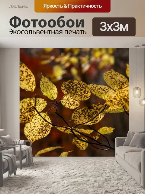 Фотообои Осенние листья