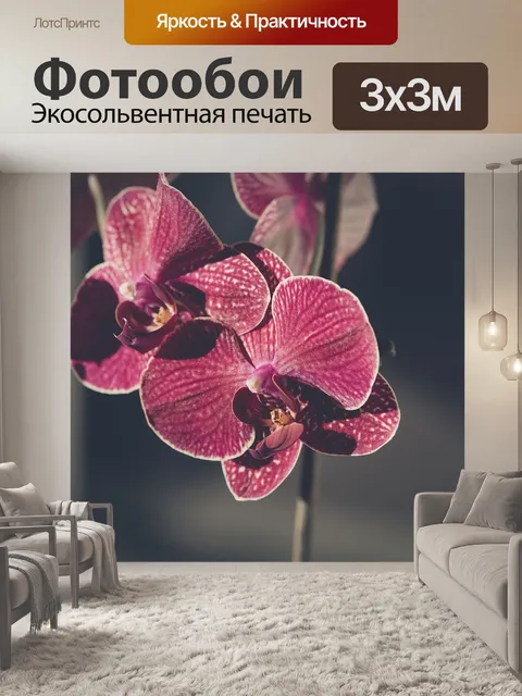 Фотообои Орхидея