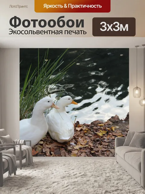 Фотообои Утки