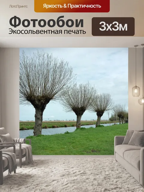 Фотообои Ивы Полларда в голландский пейзаж