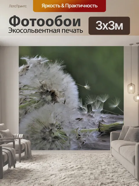 Фотообои Ветер