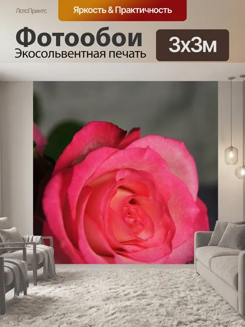 Фотообои Природа