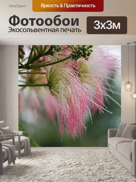 Фотообои Цветы