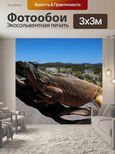 Фотообои Большой пустынный ландшафт рептилий