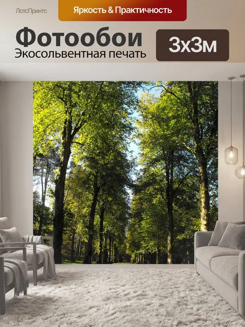 Фотообои Деревья