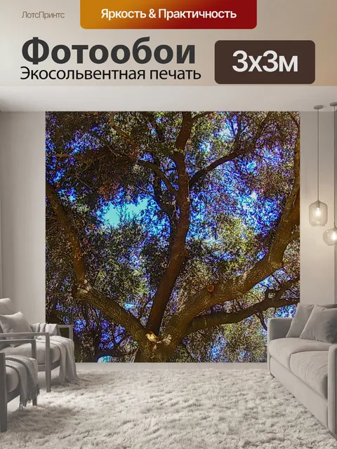 Фотообои Ветви дерева