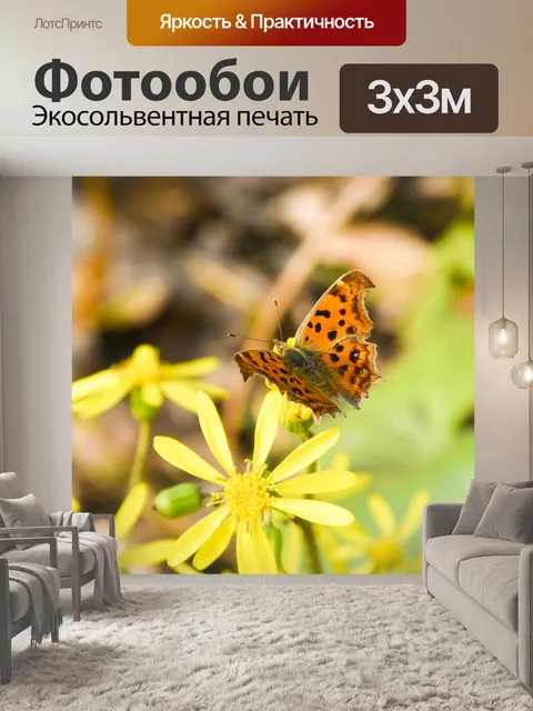 Фотообои Бабочка