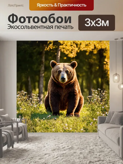 Фотообои европейский бурый медведь