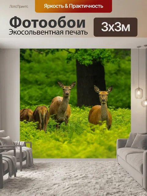 Фотообои Олень