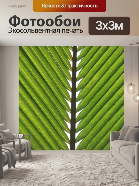 Фотообои Пальмовые листья