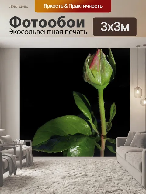Фотообои Бутон розы