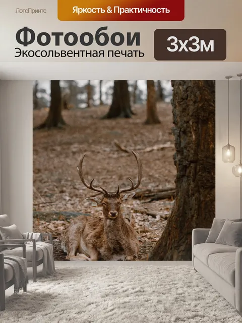 Фотообои Олень