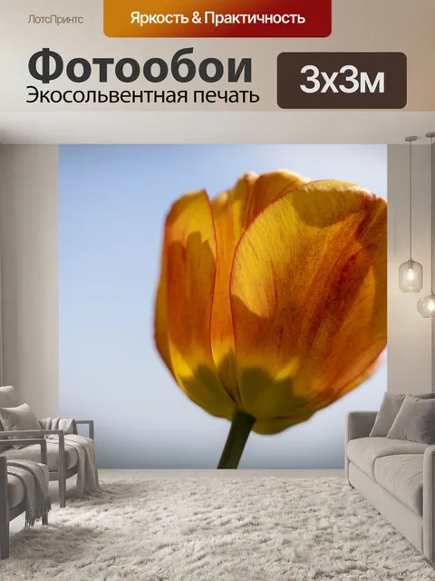 Фотообои Тюльпан