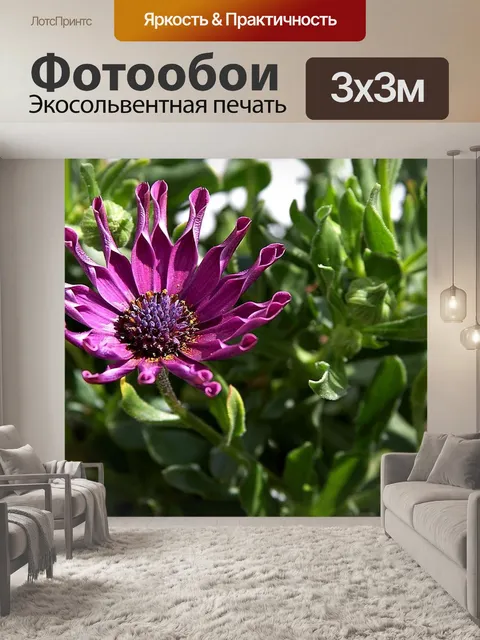 Фотообои Сад
