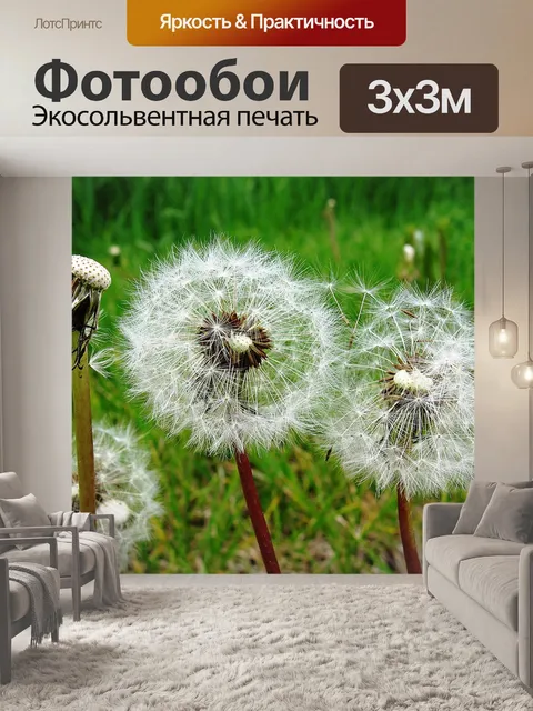 Фотообои Одуванчики