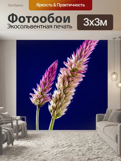 Фотообои Цветы