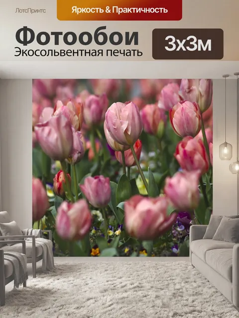 Фотообои Тюльпаны