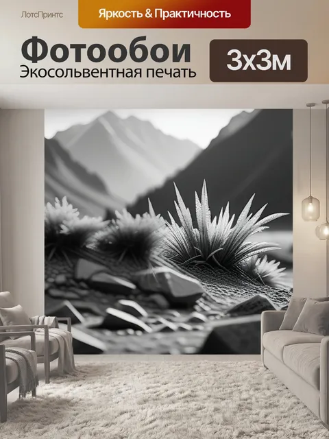 Фотообои пейзаж с доминантой чернобелый