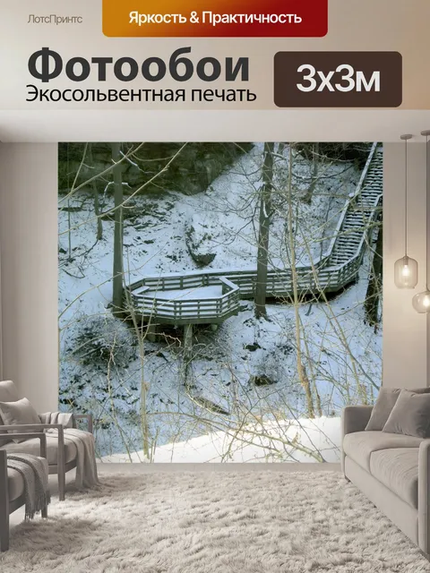 Фотообои Снежный Point Lookout