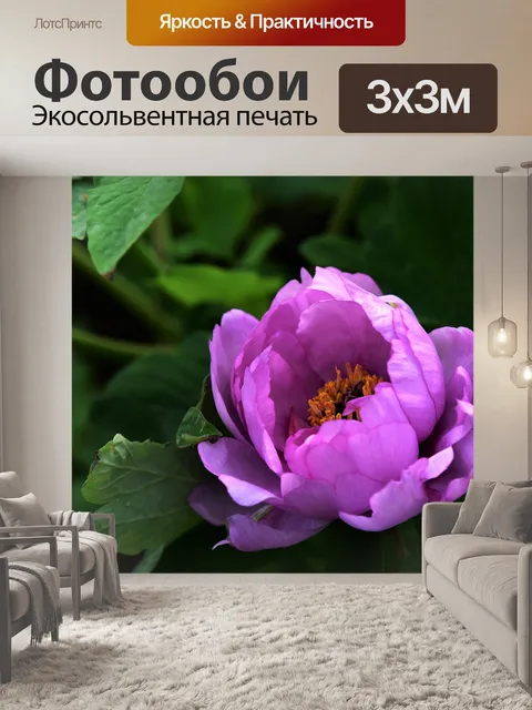 Фотообои Пион