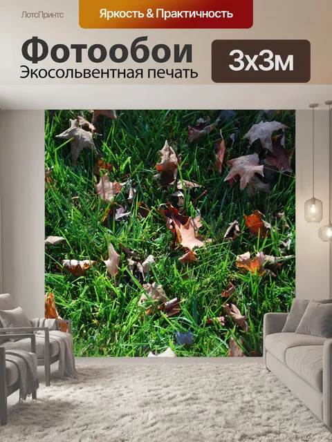 Фотообои Осенние листья