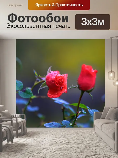 Фотообои Роза
