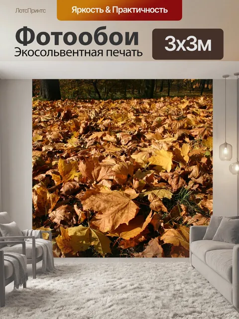 Фотообои Парк