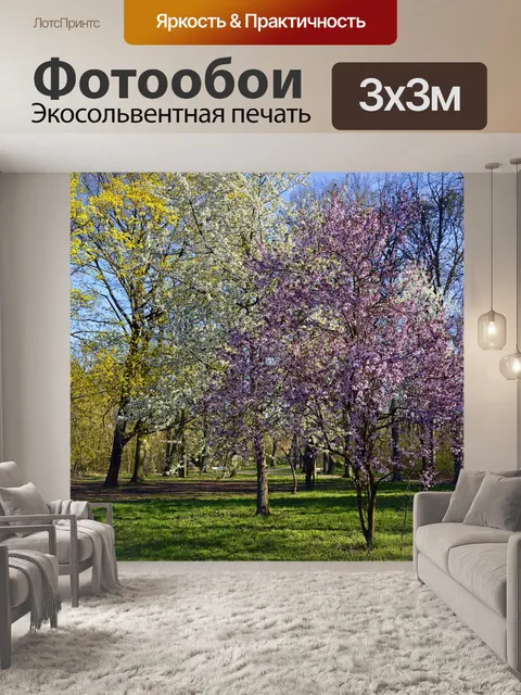 Фотообои Парк