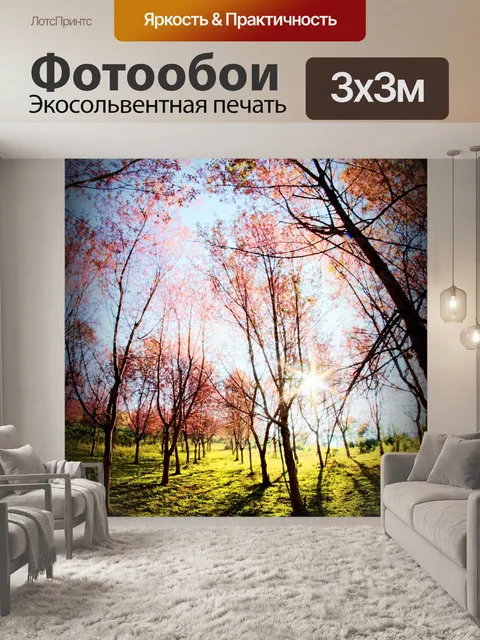 Фотообои Prunus cerasoides, дикая гималайская виш