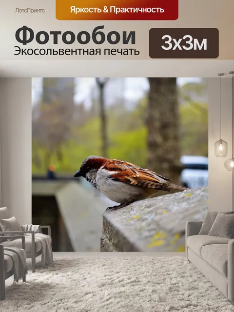 Фотообои Птица