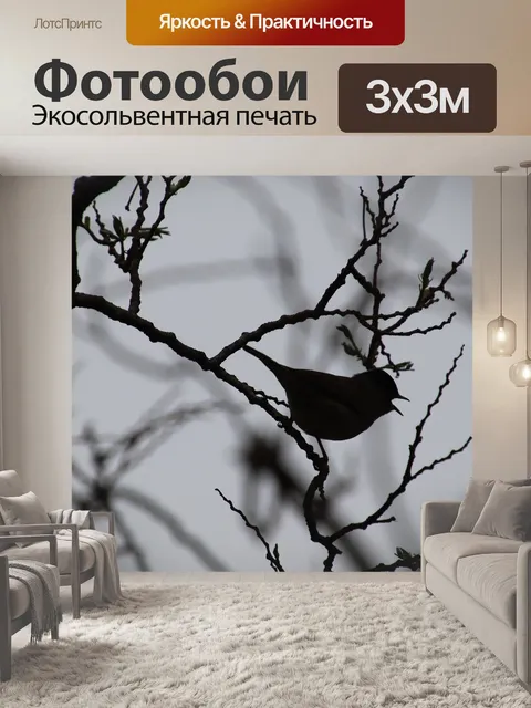 Фотообои Птицы