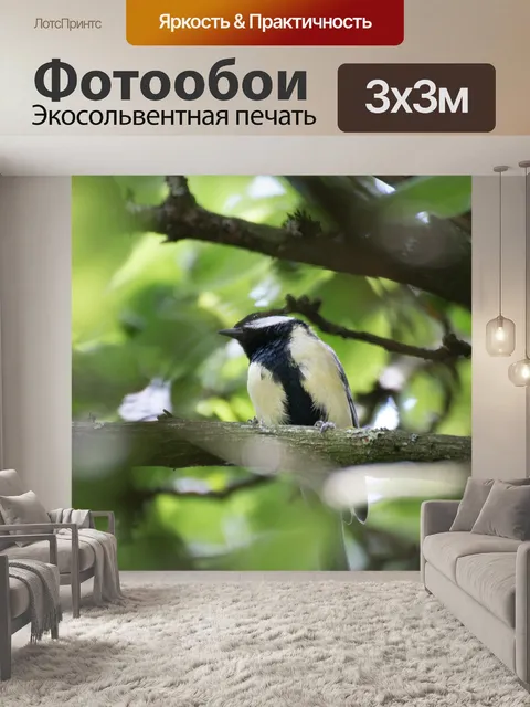 Фотообои Птица