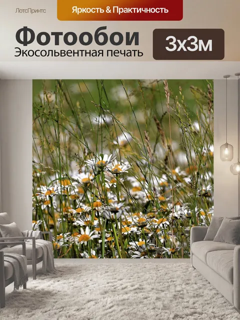 Фотообои Ромашки
