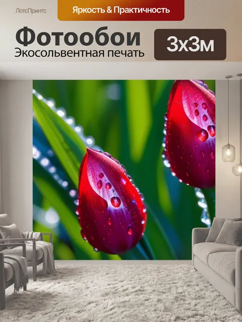 Фотообои тюльпаны в росе утром