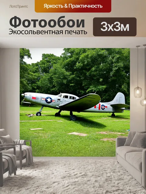 Фотообои винтаж, изображающие старинный самолёт, разбросанный среди зелени в парке