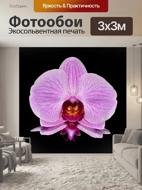 Фотообои Розовый