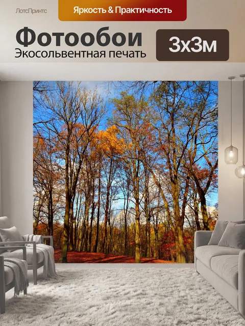 Фотообои Деревья