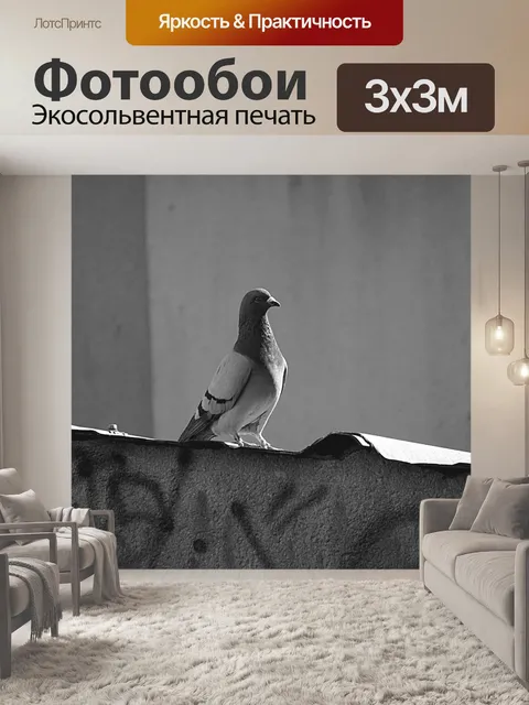 Фотообои Голубь сидел
