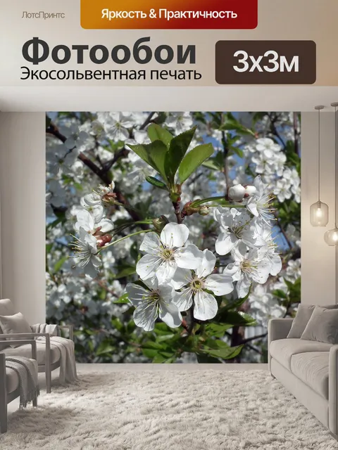 Фотообои Цветок
