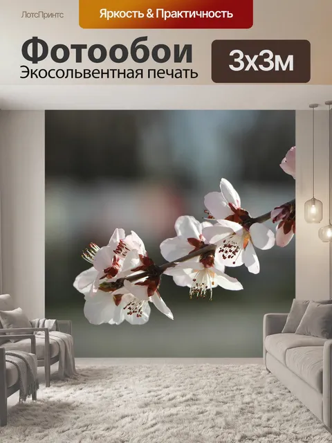 Фотообои Цветы
