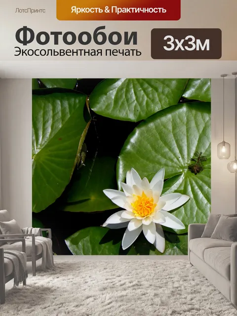 Фотообои Цветок