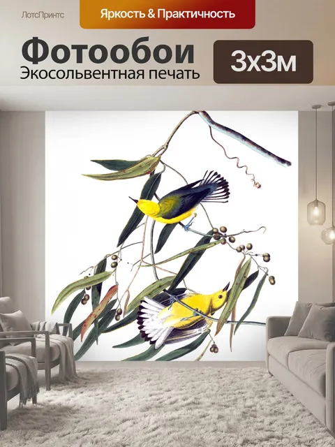 Фотообои Птицы Старинные Иллюстрация