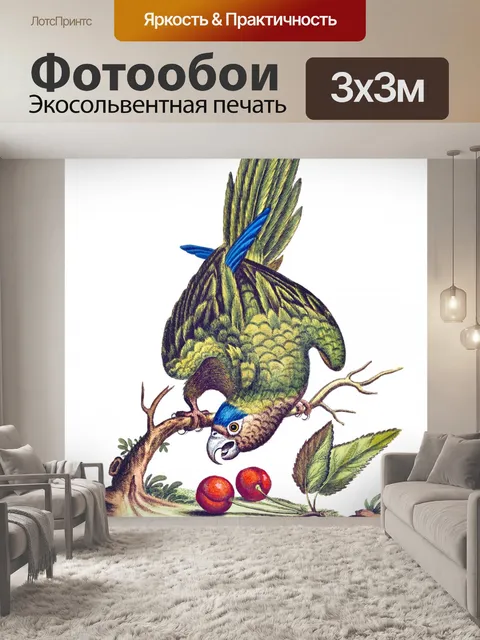 Фотообои Клипарт винтажный попугай