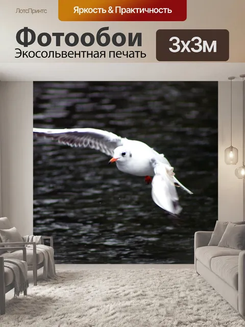 Фотообои Птица