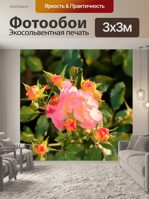 Фотообои Розовая роза, окруженная бутонами