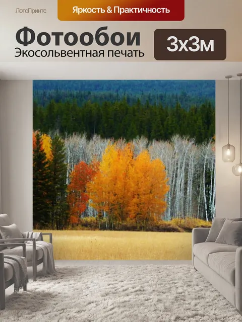 Фотообои Осина