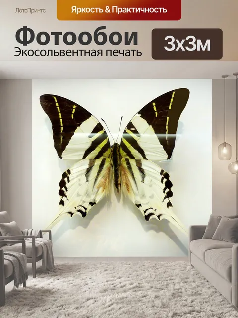 Фотообои Бабочка
